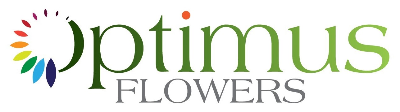 Optimus Flowers